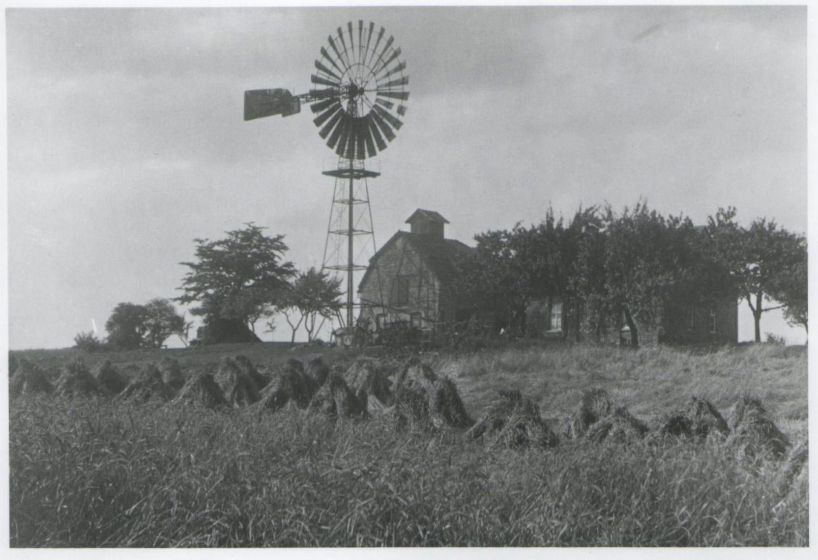 haarholzer-strasse-witthuesers-windmuehle-bochum-stiepel