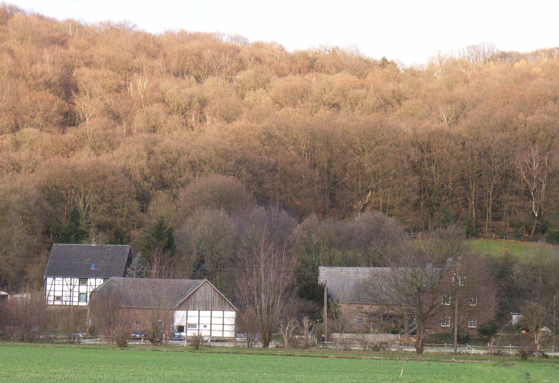 Der ehemalige Hof Henke an der Brockhauser Straße, heute im Besitz des Landwirts Große-Munkenbeck