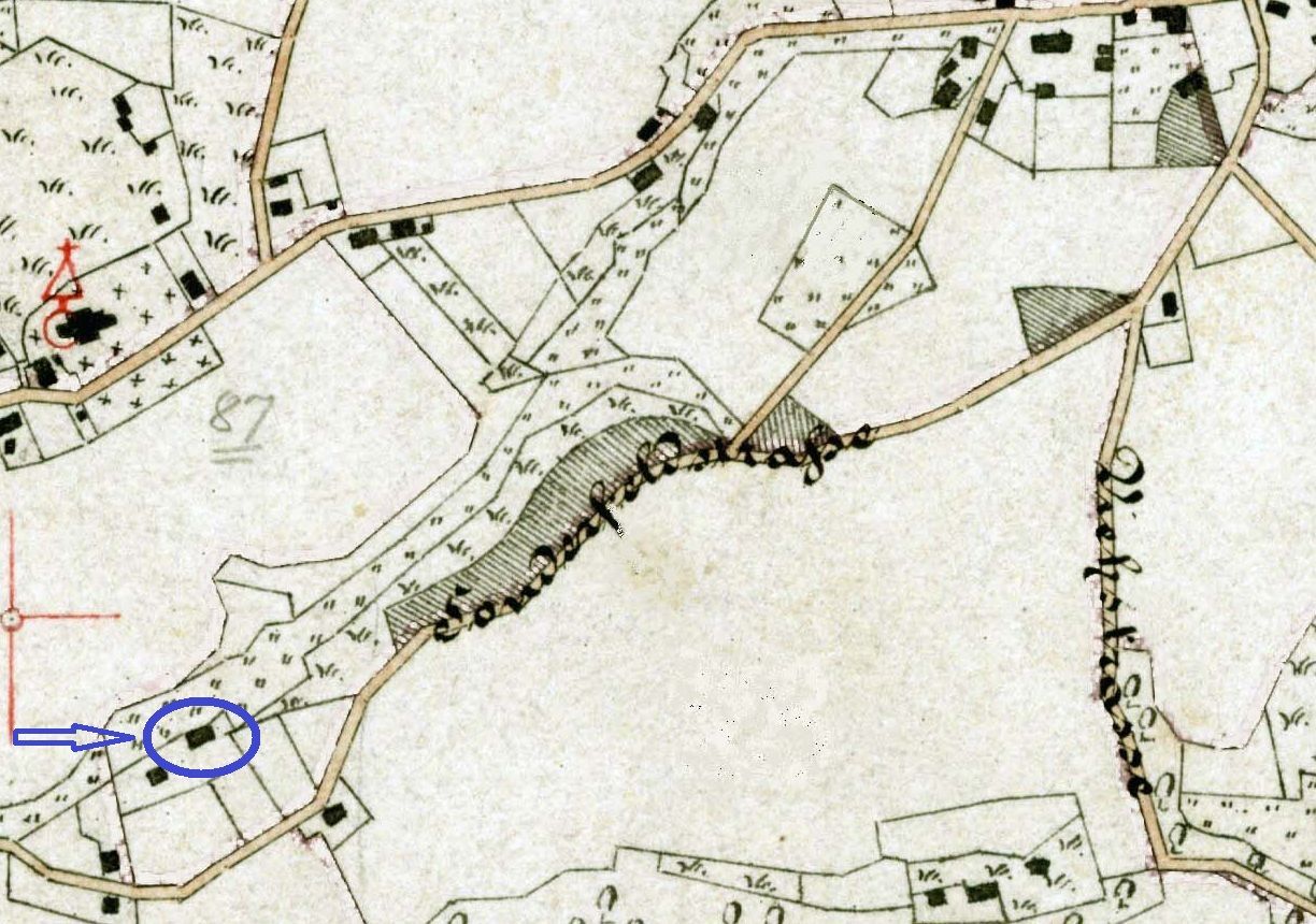 Auf der Gemarkungskarte von 1884 bereits als "Sonderfeldstraße" bezeichnet (blau markiert: das Pastorat)